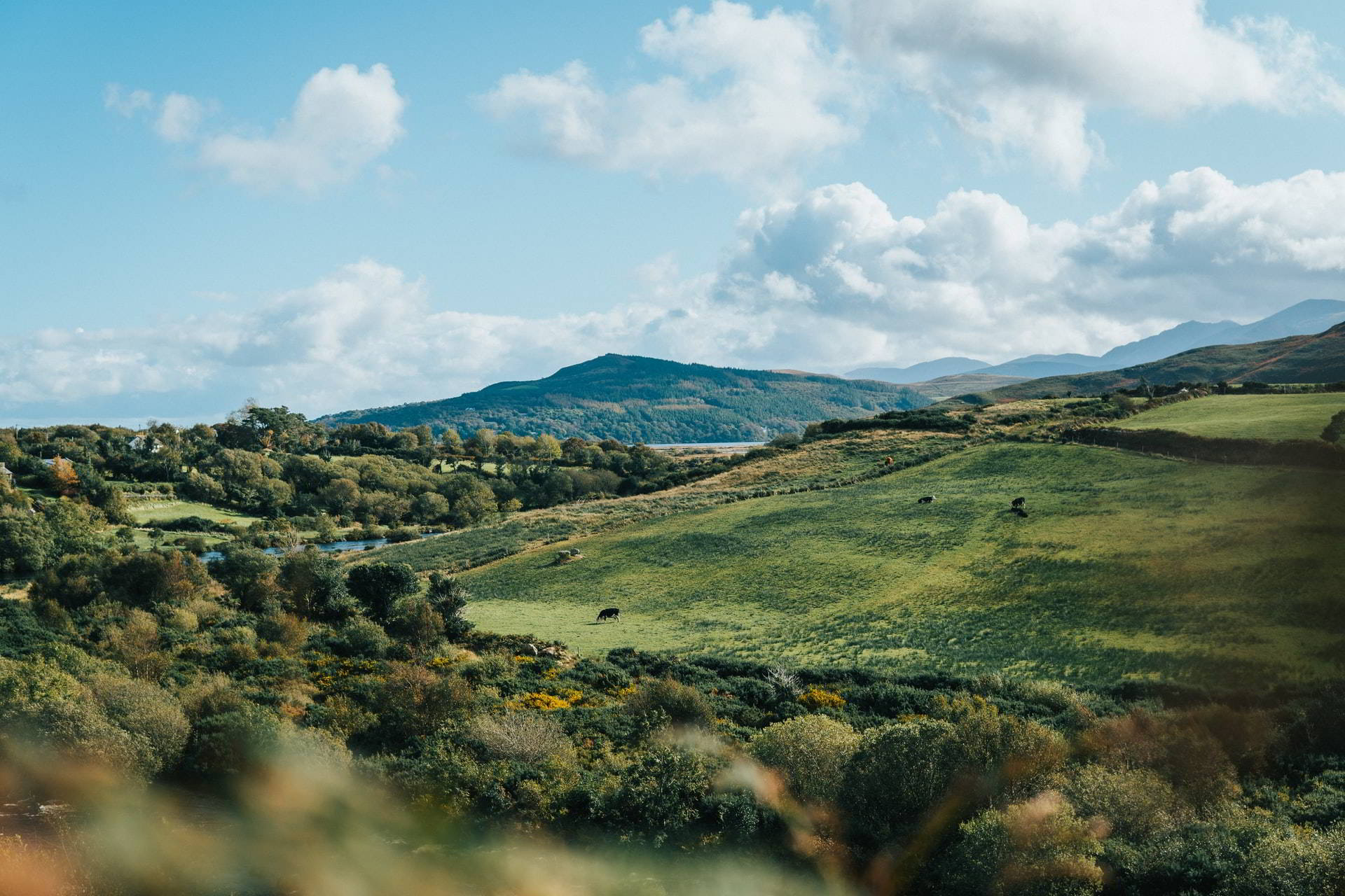 Ring of Kerry, County Kerry, Ireland
